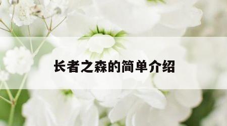 长者之森的简单介绍